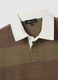 Brown pure cotton regular fit polo_5