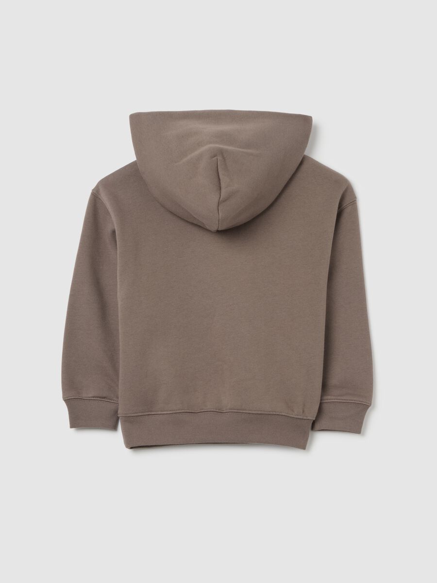 Brown Hoodie_1