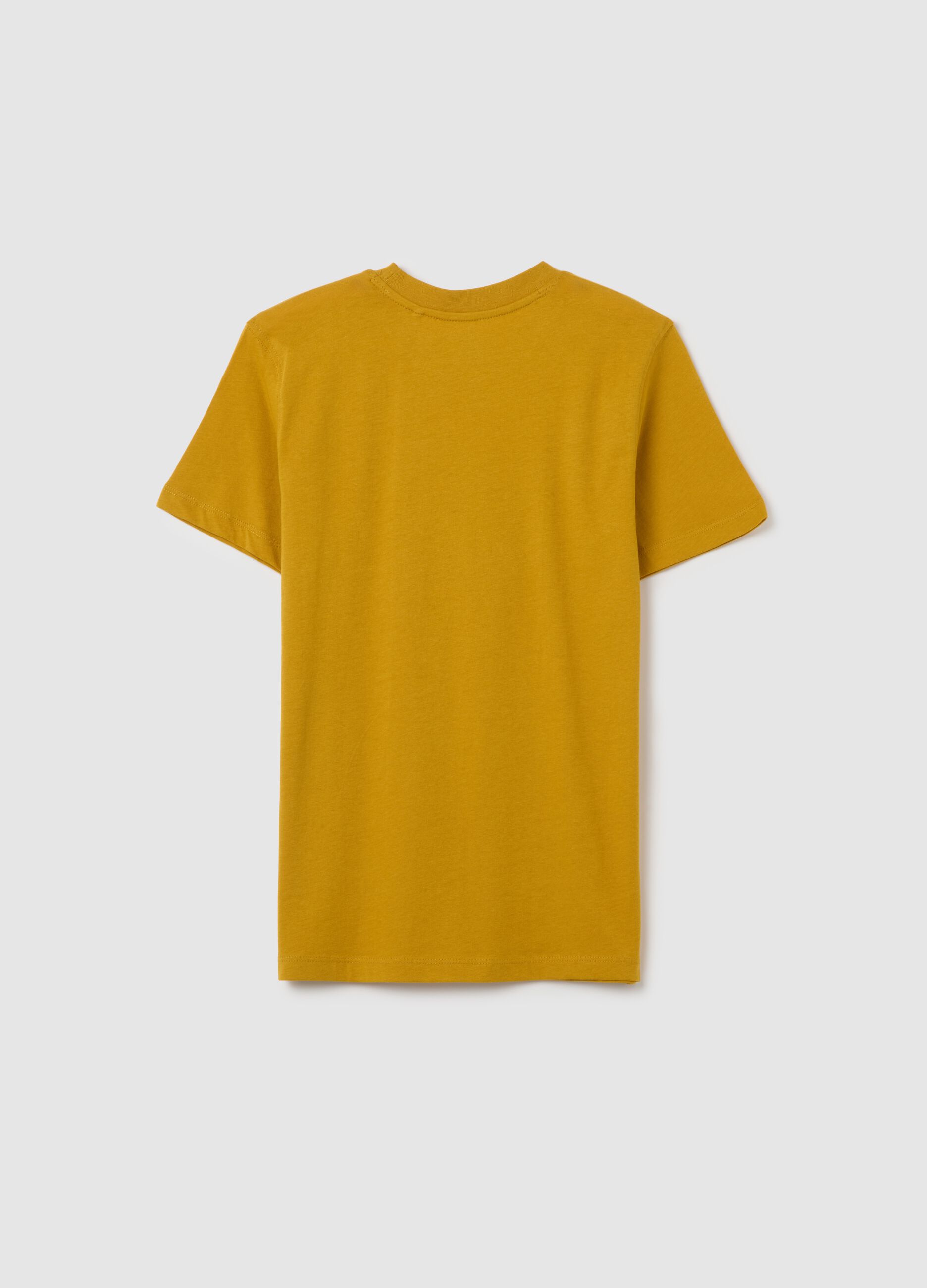 Boys' gold regular fit pure cotton t-shirt with print