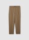 Brown Regular Fit Trousers_4