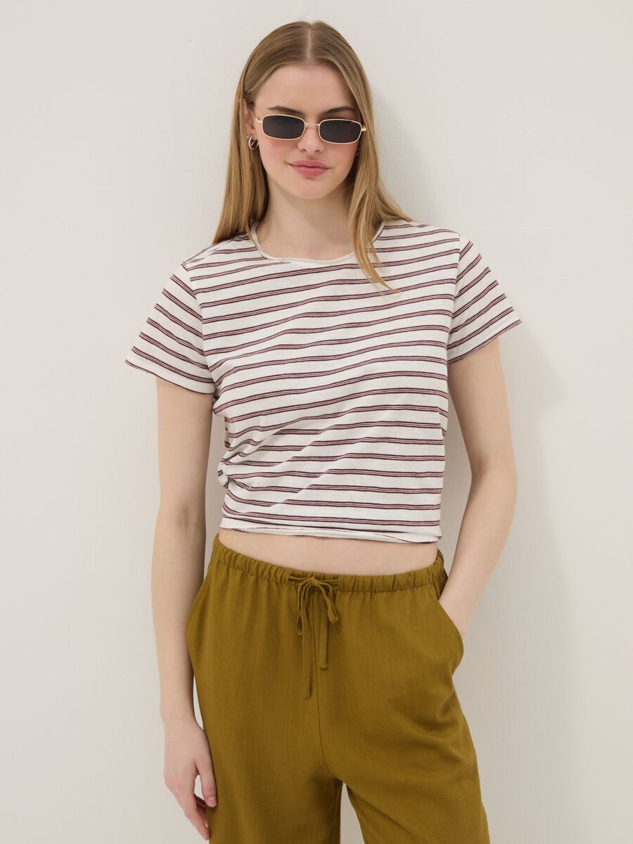 Multicoloured striped pure cotton short-sleeved T-shirt, regular fit_1