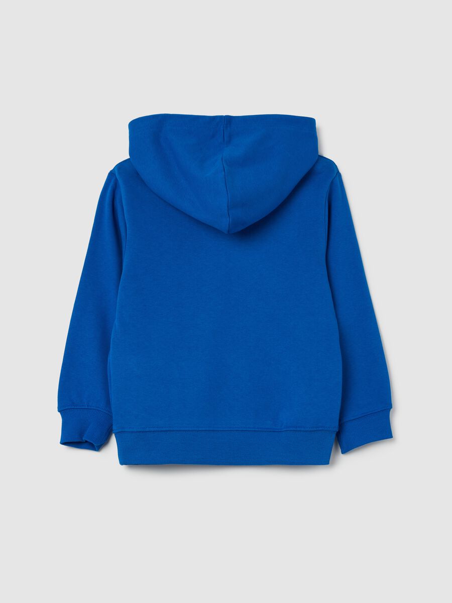 Sweatshirt with hood and Sonic print_1