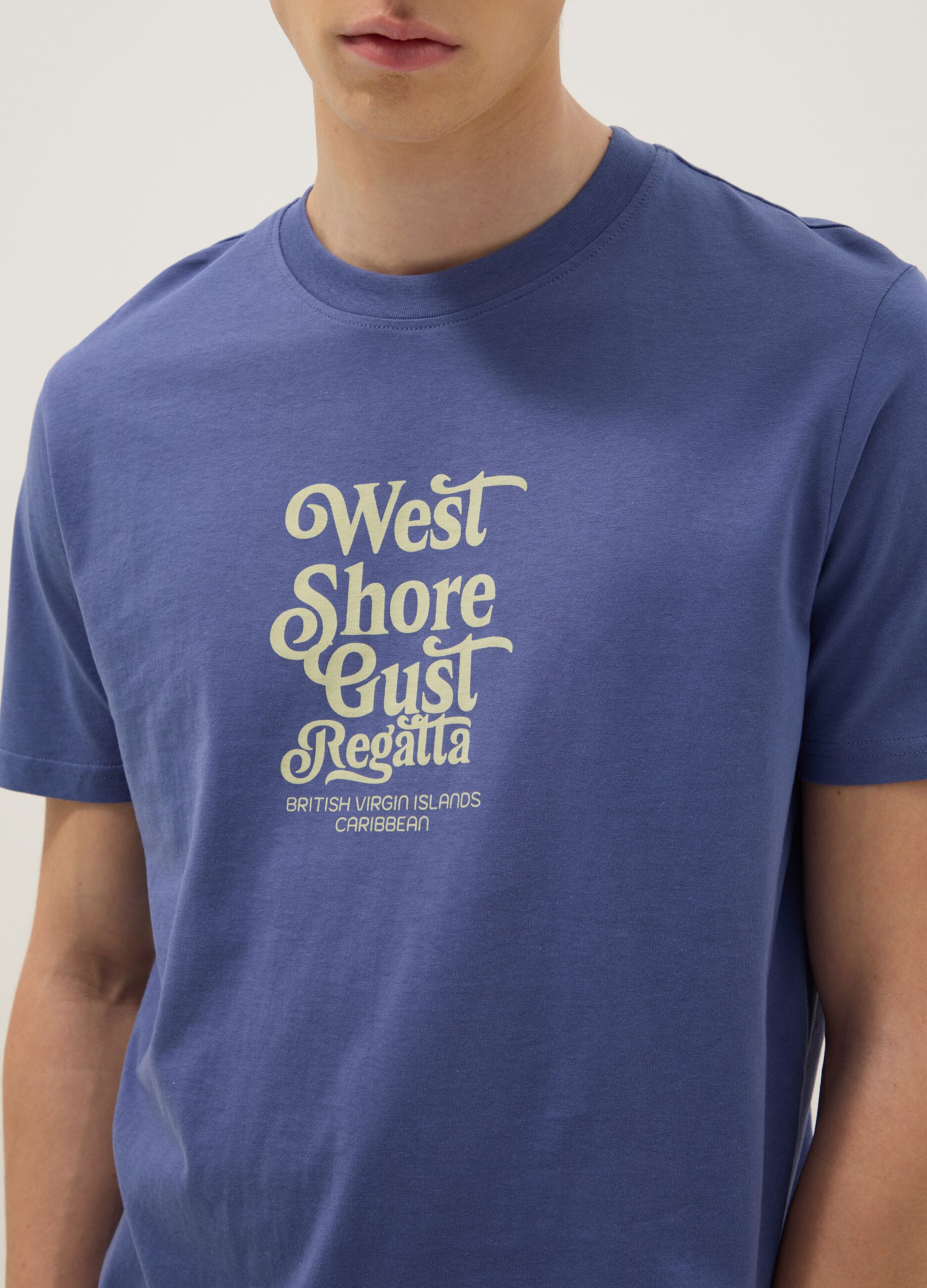 Blue short-sleeve pure cotton T-shirt with print