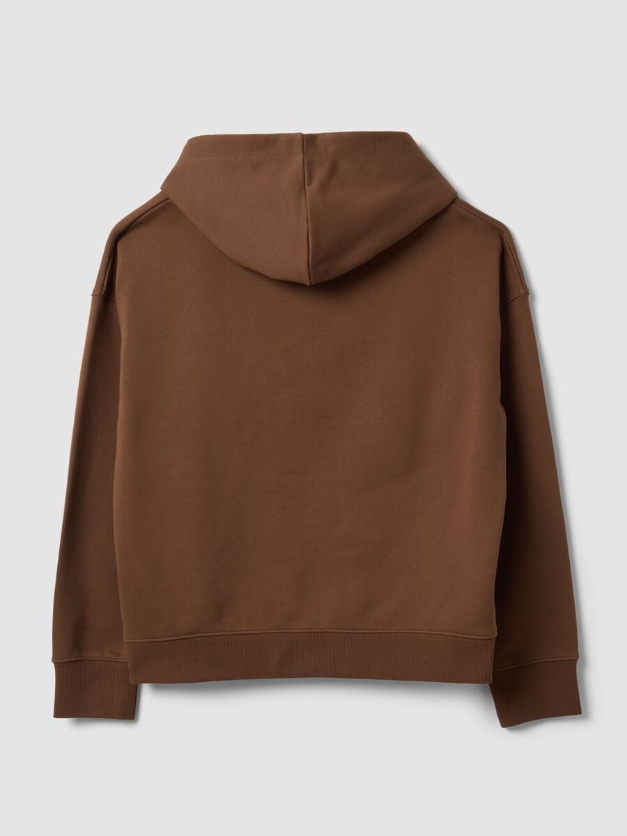 Felpa marrone in misto cotone con cappuccio regular fit_2