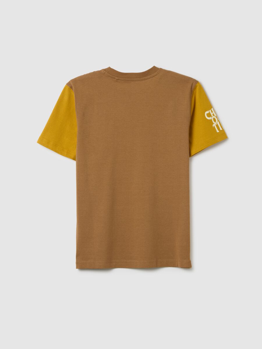 Boy's T-shirt in pure multicolour cotton with regular fit_1