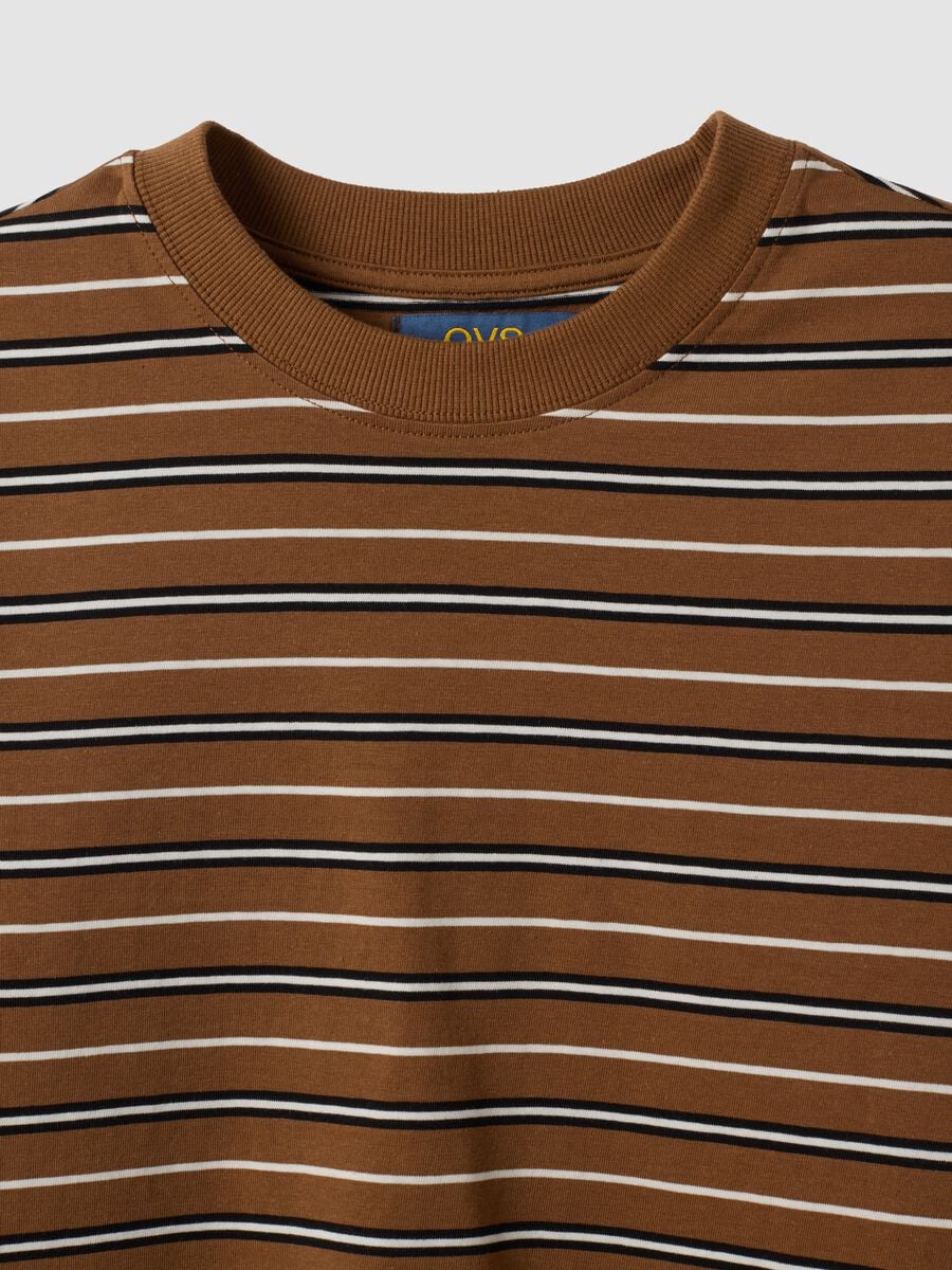T-shirt multicolor in puro cotone a righe con girocollo regular fit_5