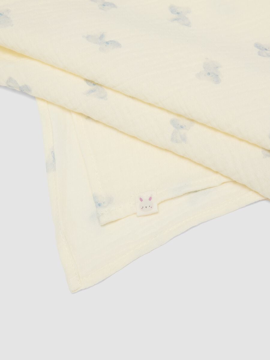 Two-pack of multicolour 100% cotton baby blankets_1