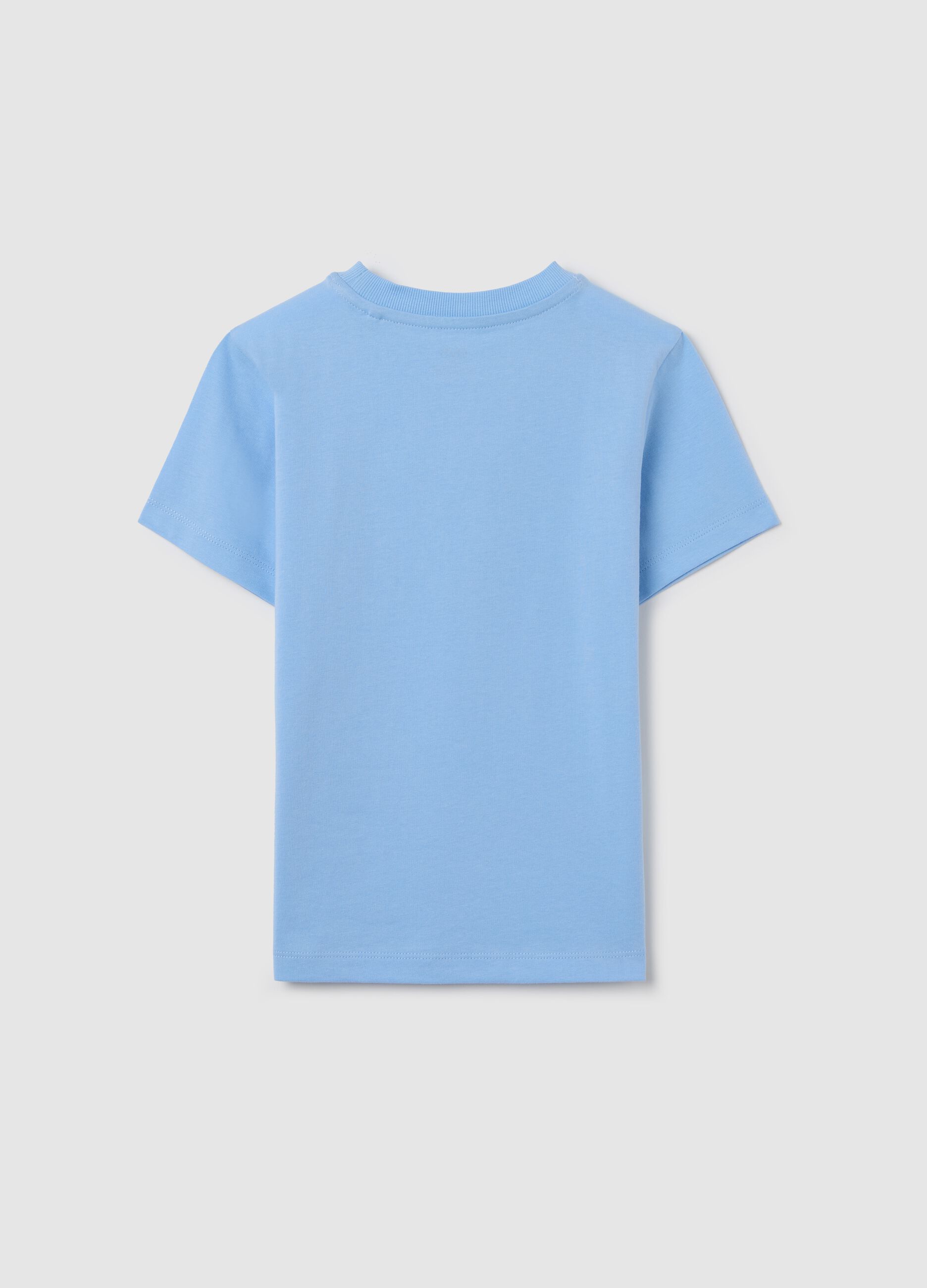 Light blue cotton T-shirt with lettering print