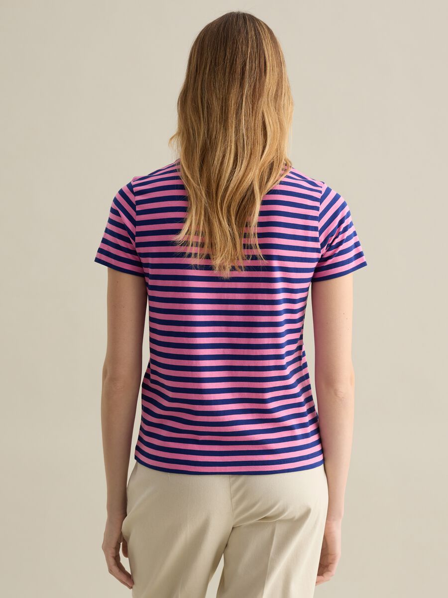 Pink and blue striped T-shirt with short sleeves_3