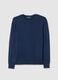 Blue Regular Fit Sweater_4