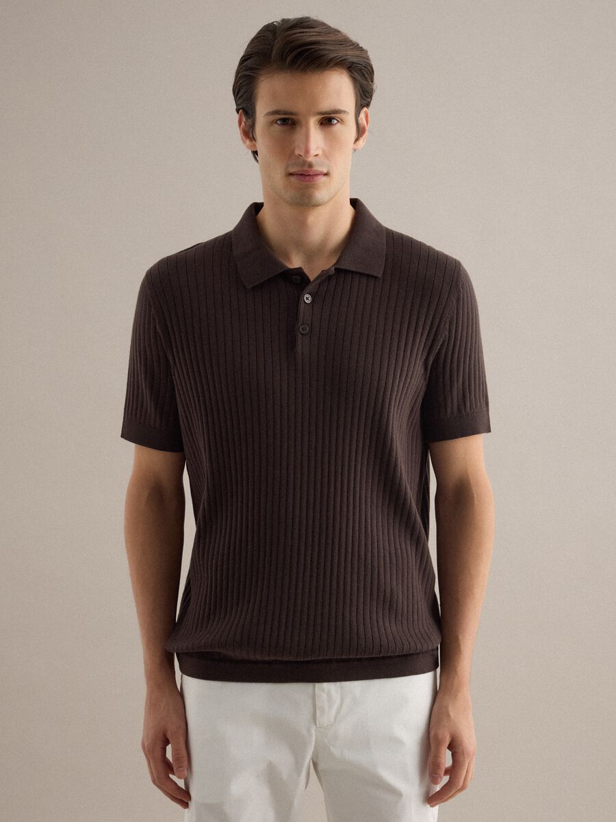 Brown striped short-sleeve pure cotton polo in regular fit_1