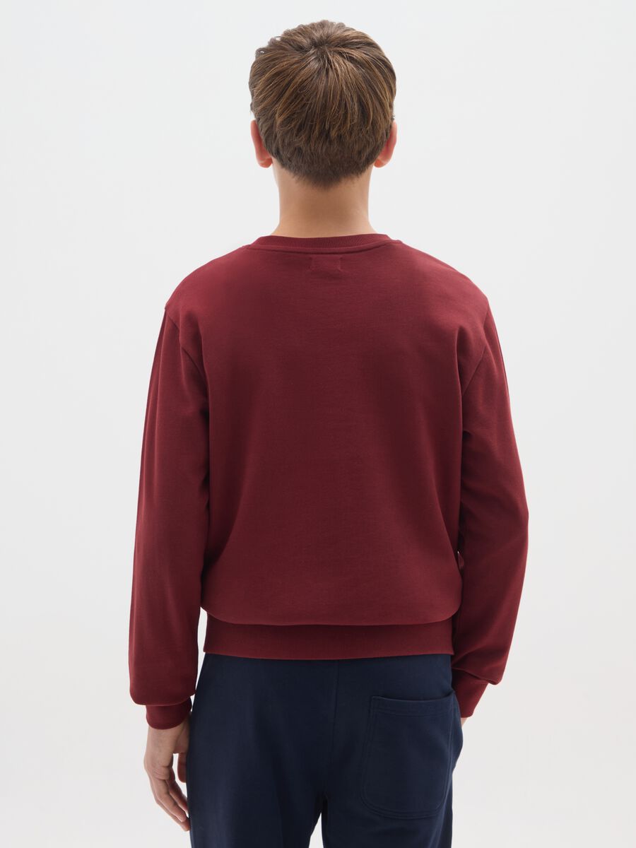 Felpa da ragazzo in puro cotone rosso regular fit_1