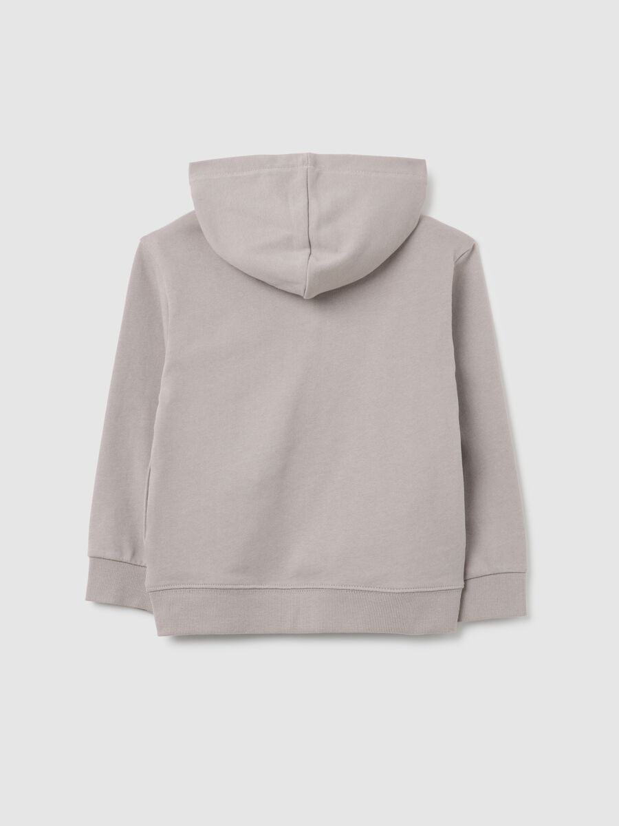 Grey pure cotton regular fit kids' sweatshirt_1