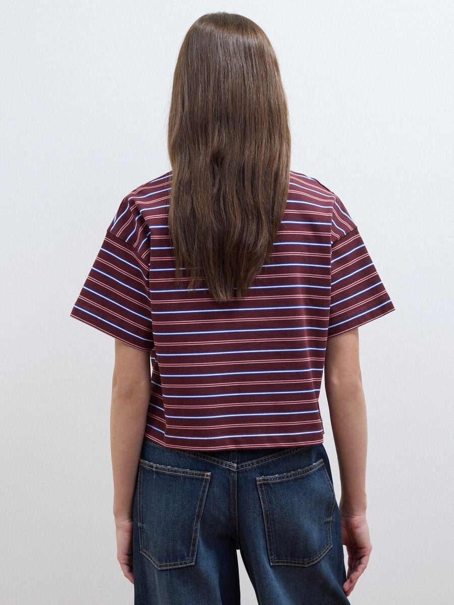 Polo multicolor in puro cotone a righe con colletto over fit_3