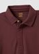 Brown regular fit stretch cotton polo_5