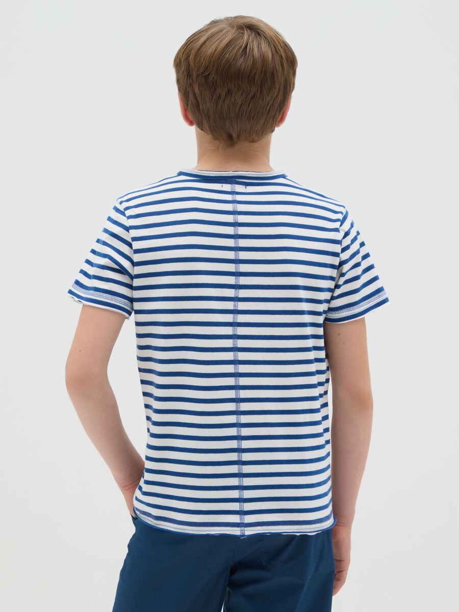 Polo da ragazzo in puro cotone a righe bianche e blu con colletto classico e vestibilità regular fit_2