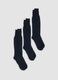 3-pack of long blue socks in pure cotton Fil d&rsquo;&Eacute;cosse_0