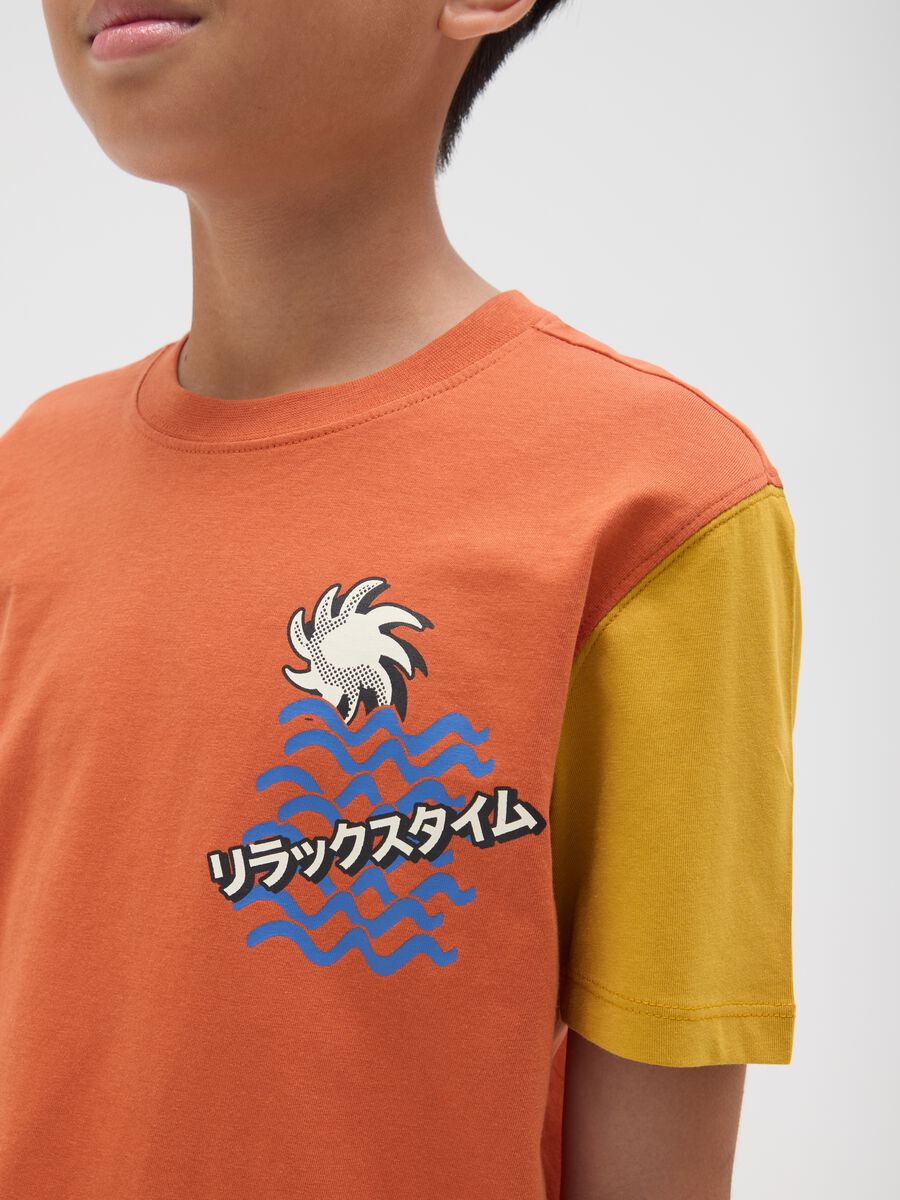 Boy's multicolour pure cotton regular fit T-shirt_2