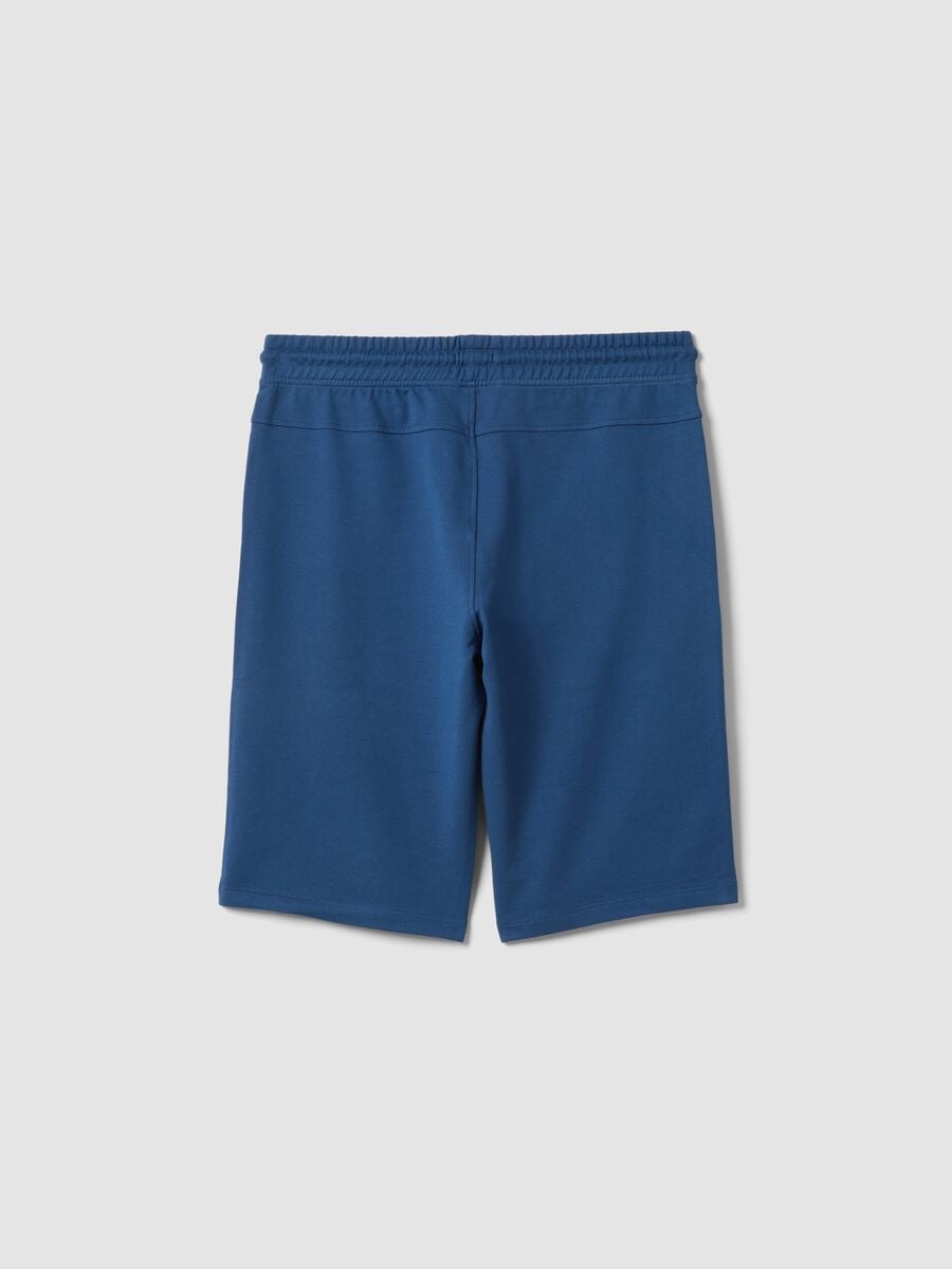 Boys' Regular Fit Blue Pure Cotton Shorts_4