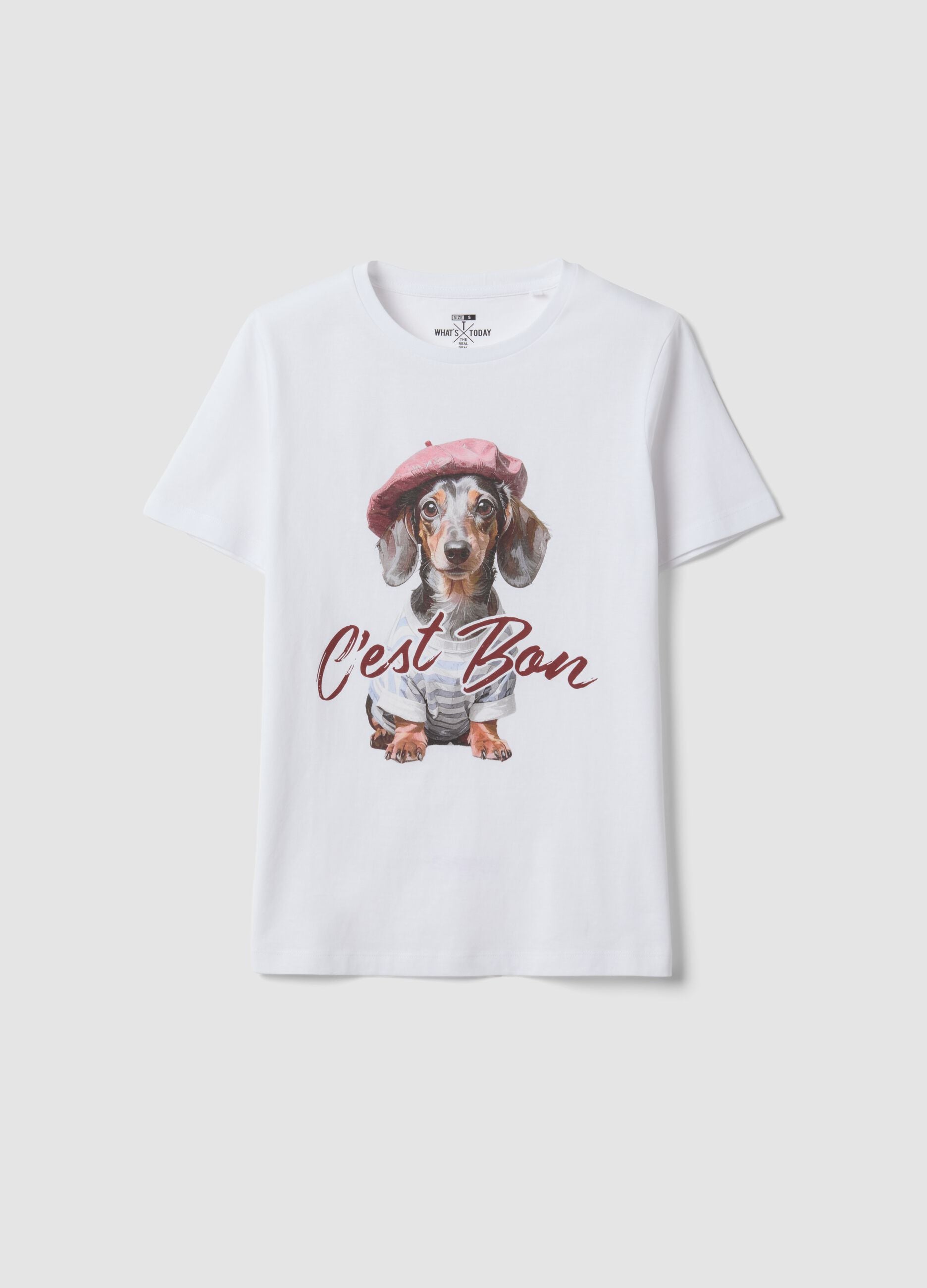 T-shirt bianca in puro cotone jersey e stampa cagnolino regular fit