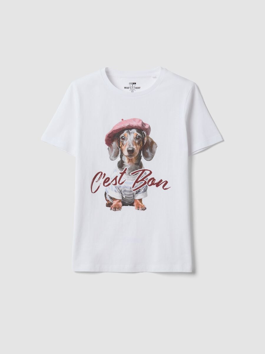 T-shirt bianca in puro cotone jersey e stampa cagnolino regular fit_4