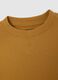 Children's brown regular fit pure cotton sweatshirt_2