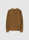 Boys' Brown Regular Fit Jumper_0