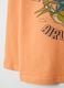 Kids Regular Fit Orange Pure Cotton T-shirt with Print_3