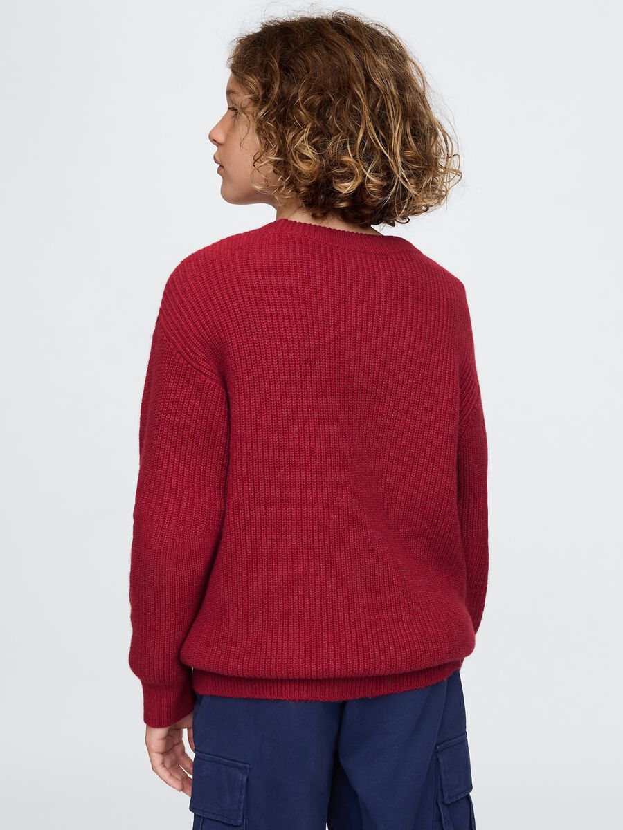 Pullover with ribbed design_2