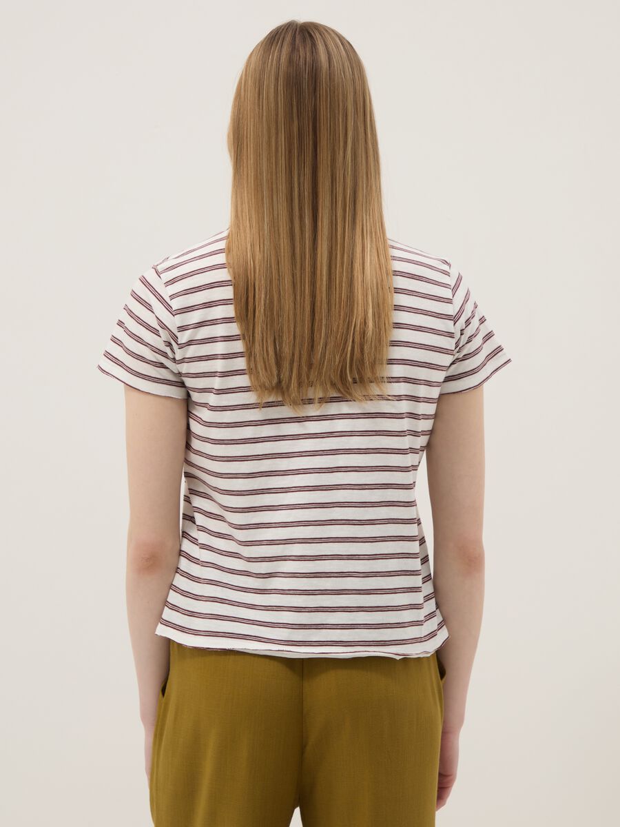 Multicoloured striped pure cotton short-sleeved T-shirt, regular fit_3