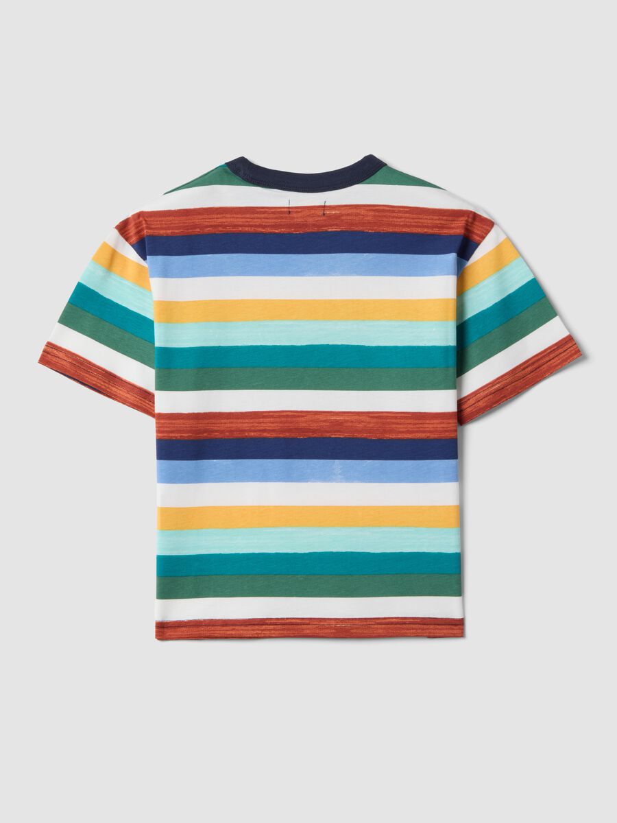 Boys' Regular Fit Multicoloured Striped Pure Cotton T-shirt_1