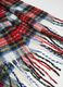 Multicolour Checked Scarf with Fringes_3