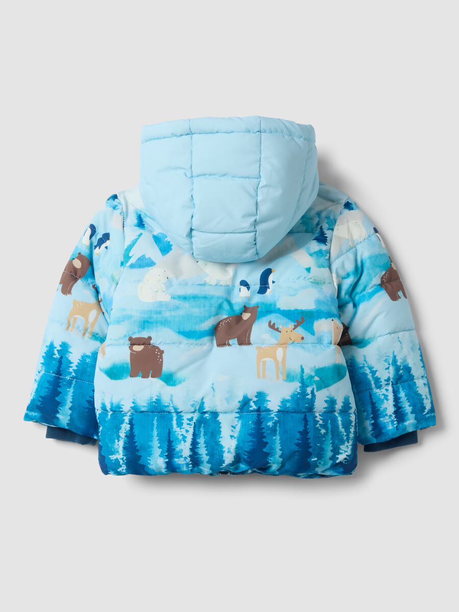 Blue padded hooded jacket with animal print, regular fit_1
