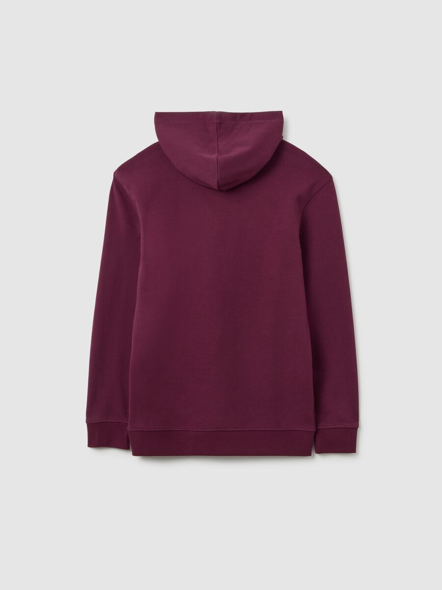 Felpa da ragazzo in puro cotone rossa regular fit con cappuccio_1