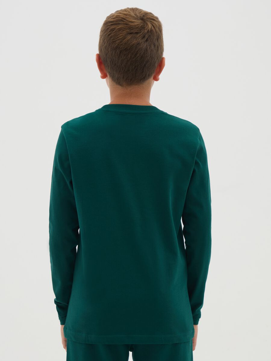 Boys' pure cotton green regular fit jumper_2
