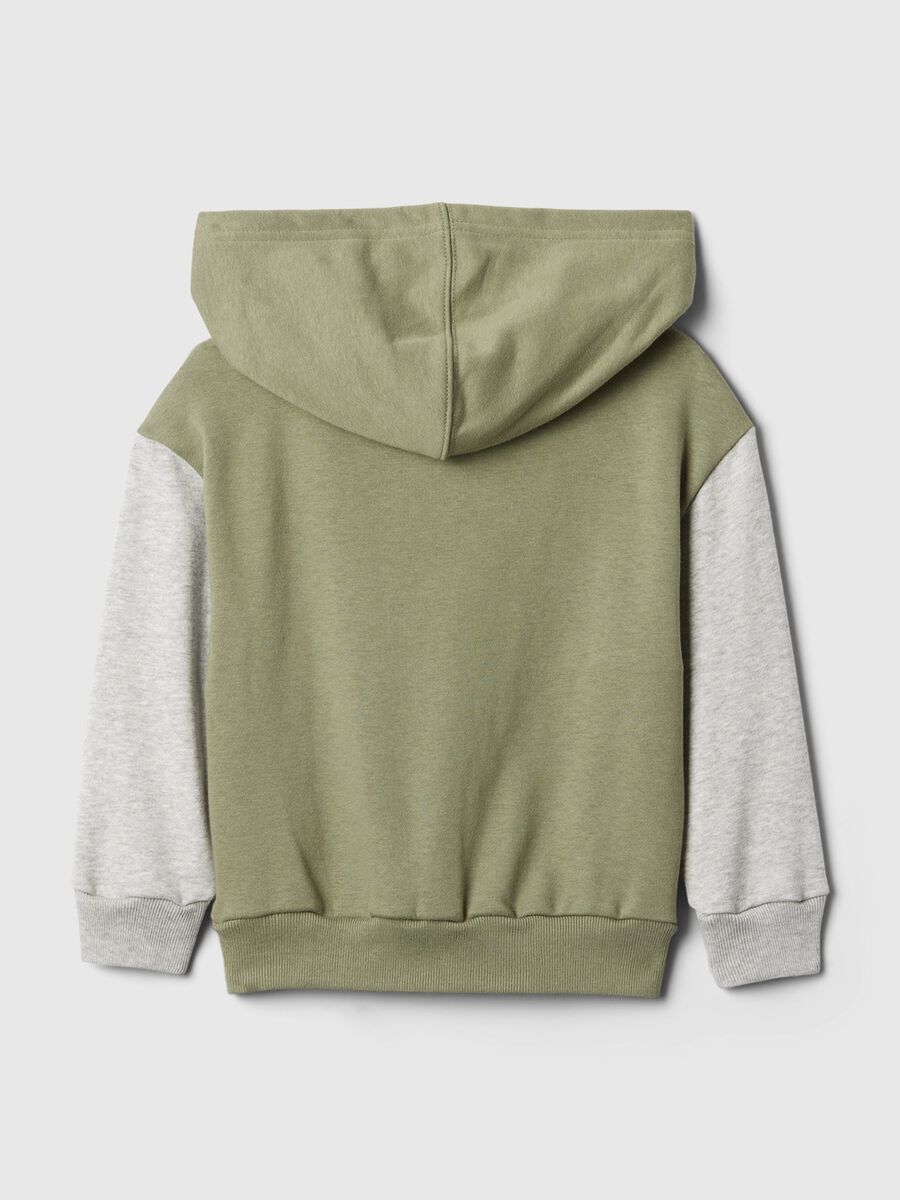 Colourblock sweatshirt with hood and logo embroidery_1