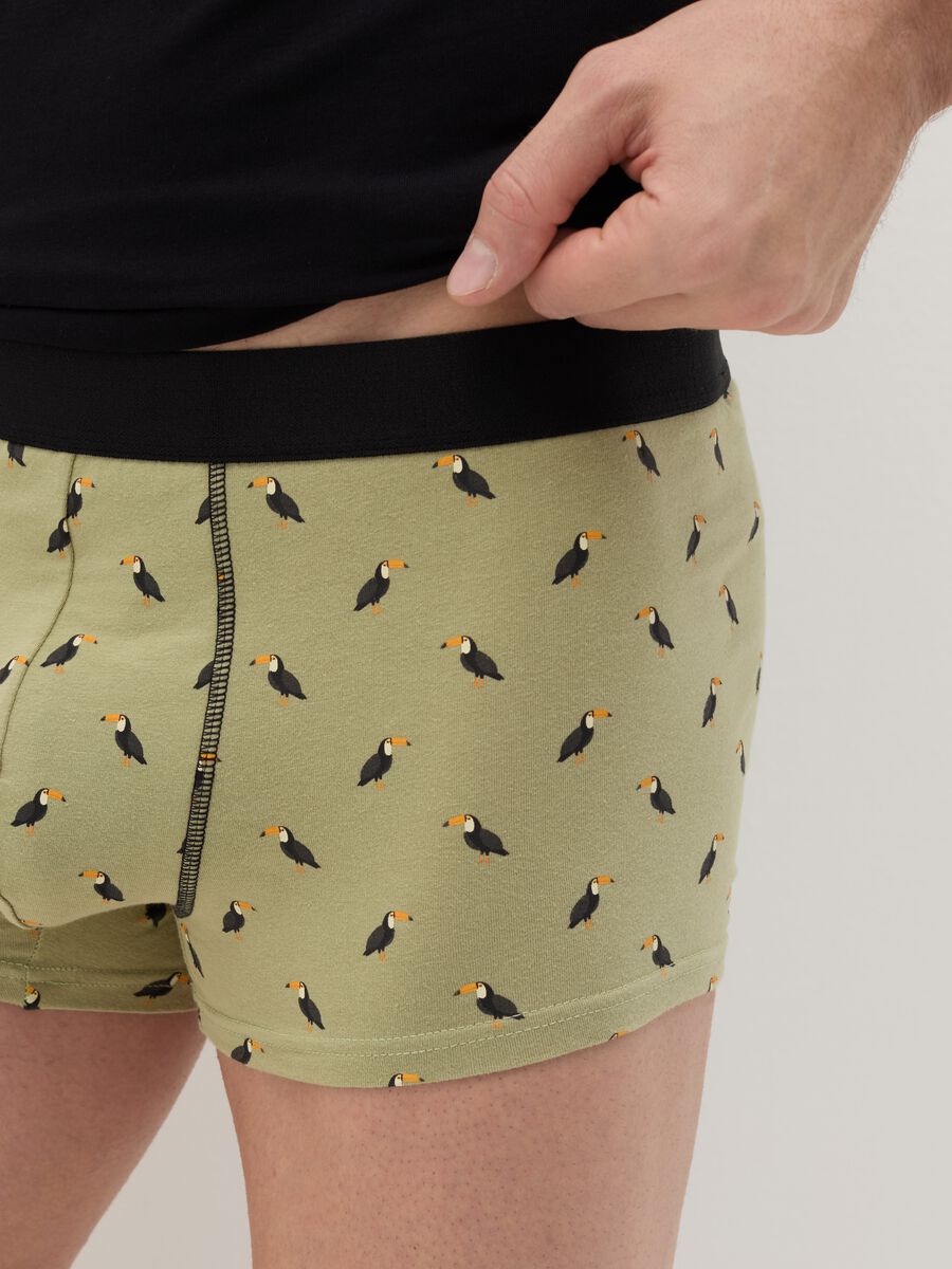 Midi boxer shorts in stretch cotton with pattern._2