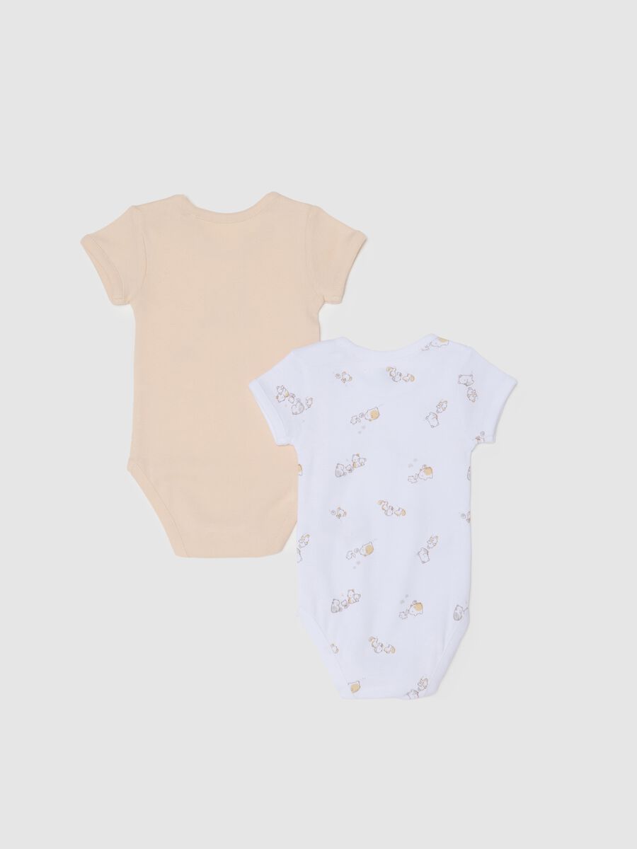 Multicolour newborn bodysuit twin-pack in pure cotton_1