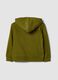 Green organic cotton hooded sweatshirt for boys, regular fit_1