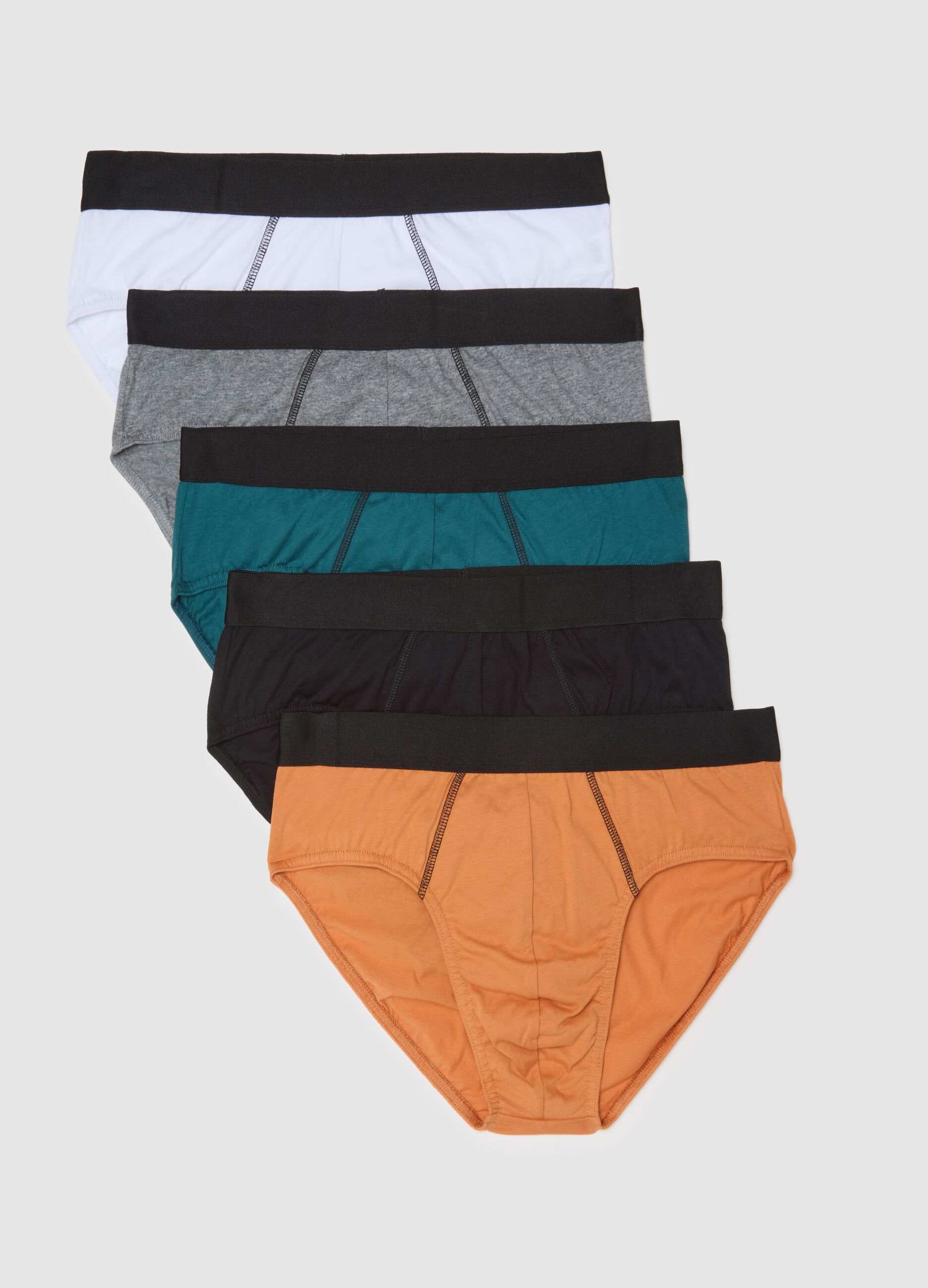 Set of white pure cotton regular fit briefs