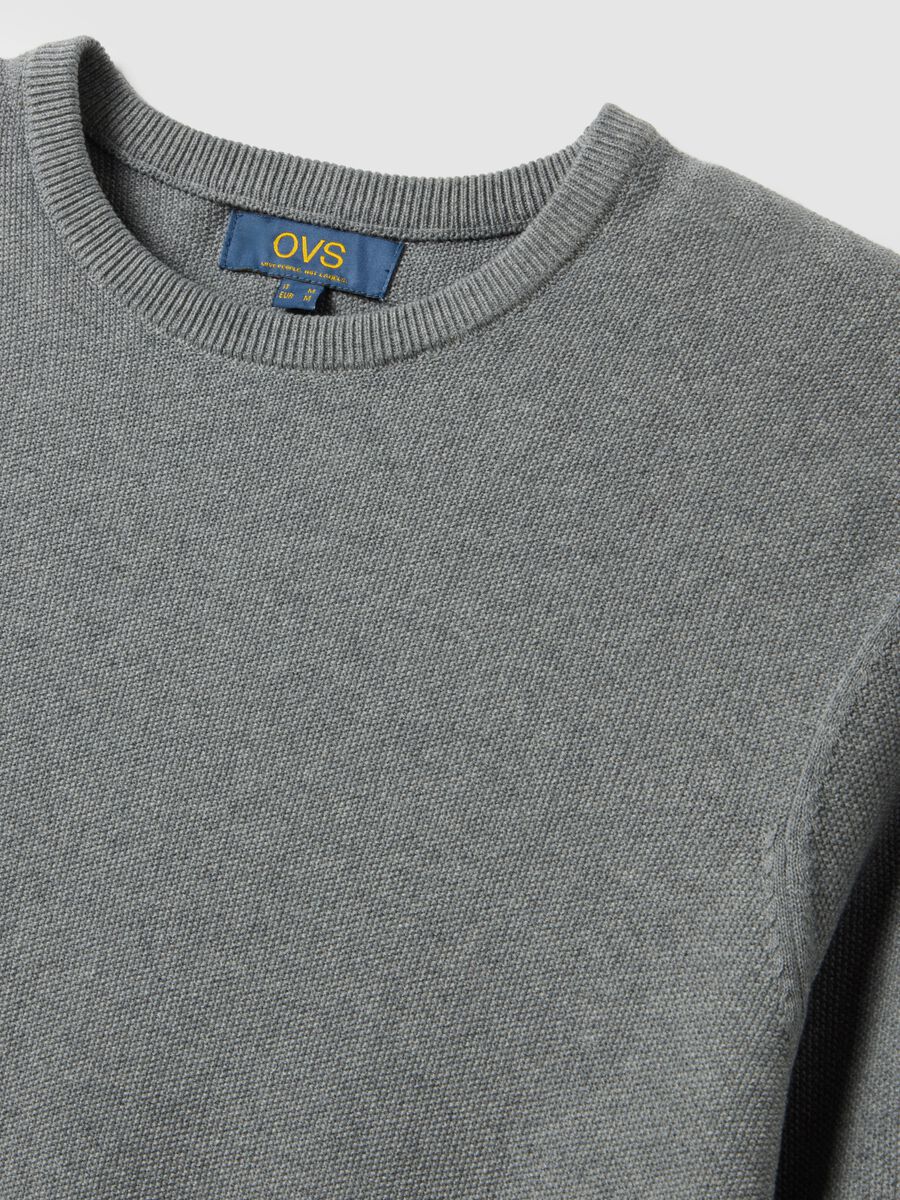 Grey crew neck pure cotton jumper in regular fit_5