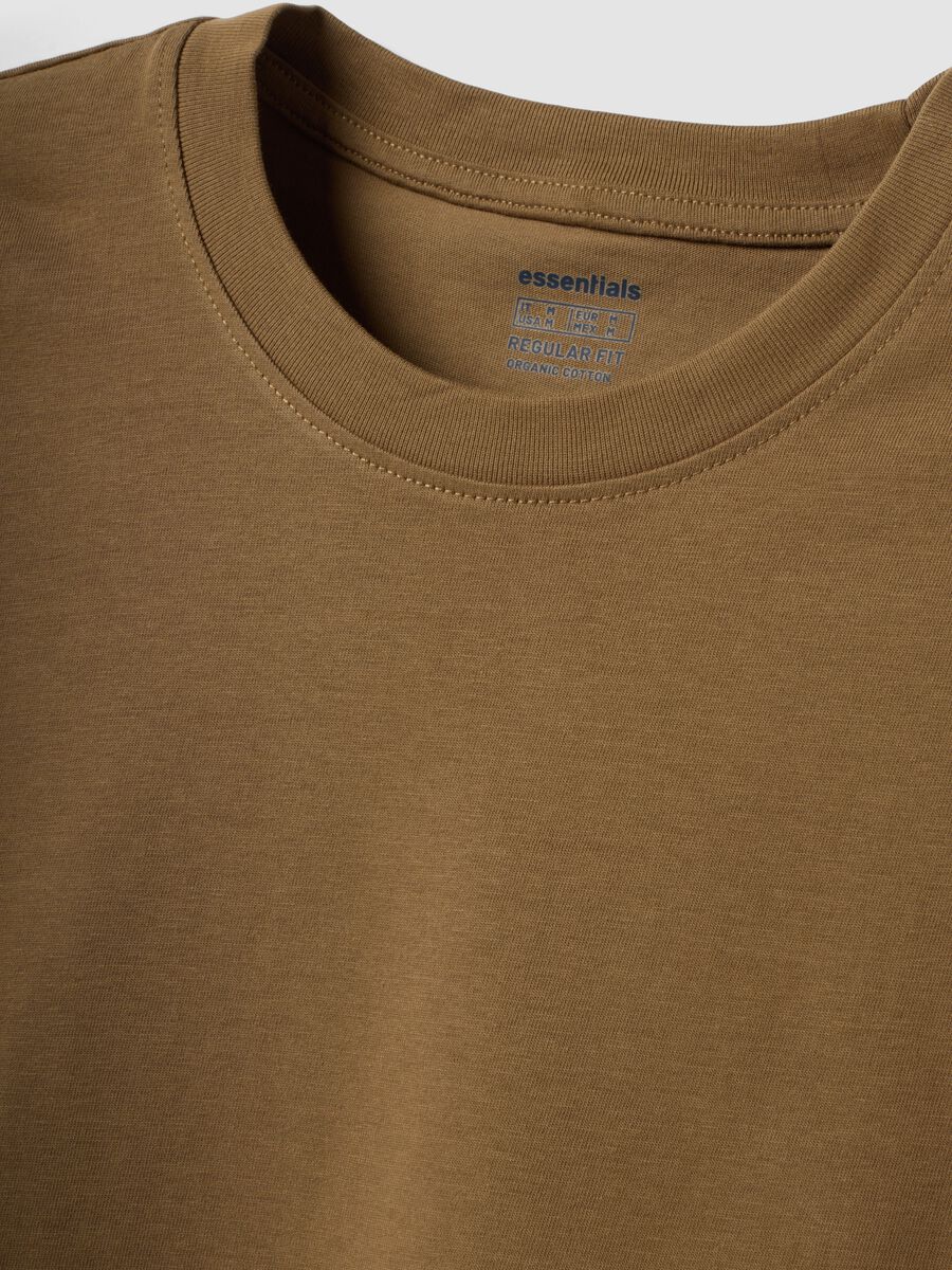 T-shirt marrone in puro cotone organico jersey regular fit_6