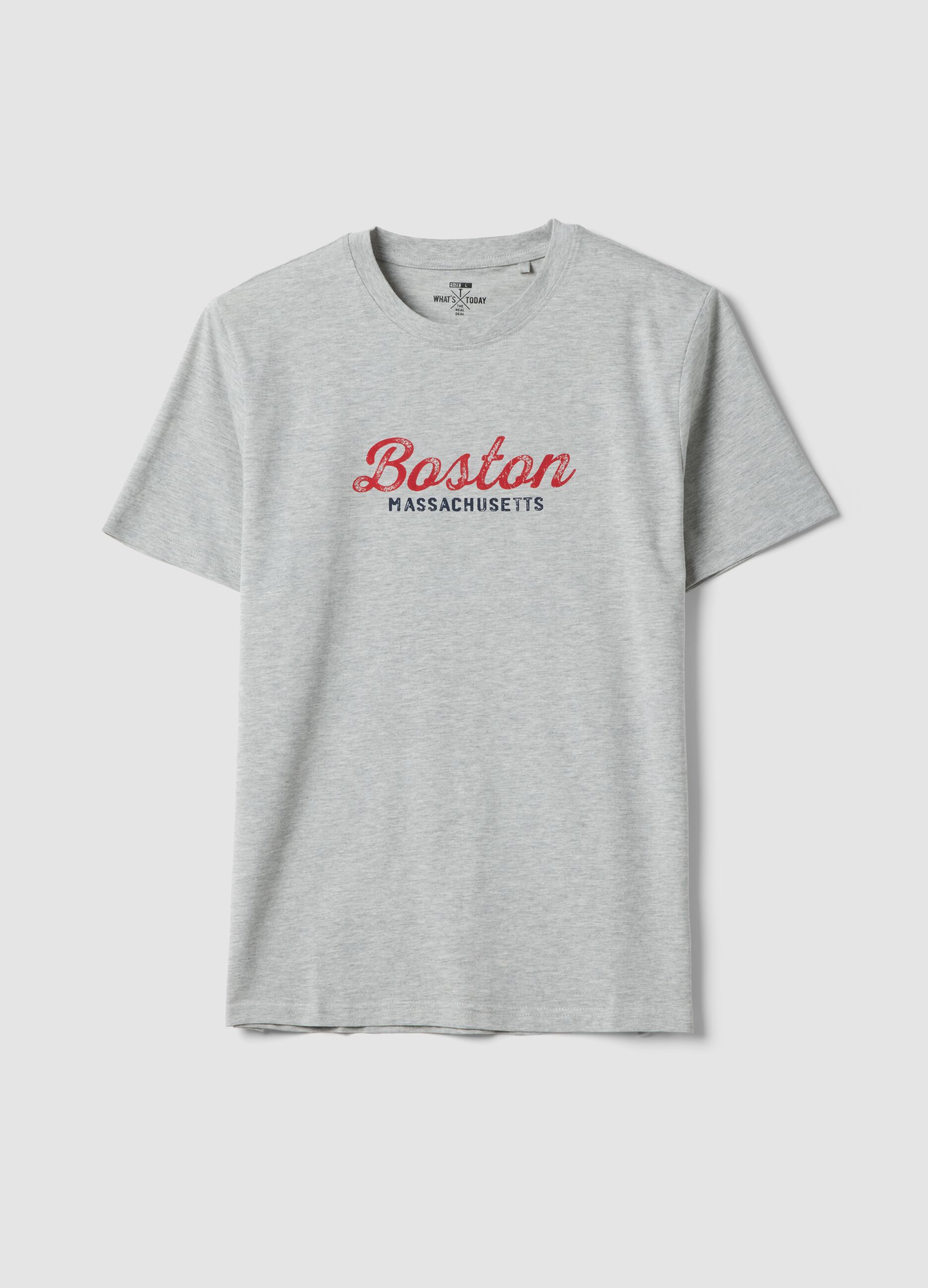 Grey printed T-shirt in pure cotton, regular fit