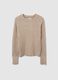 Regular Fit Beige Jumper_4