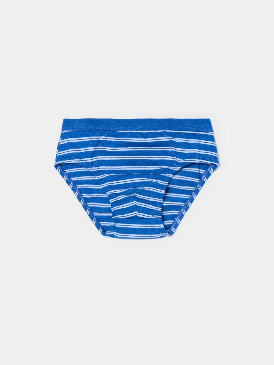 Organic cotton briefs with striped pattern_0
