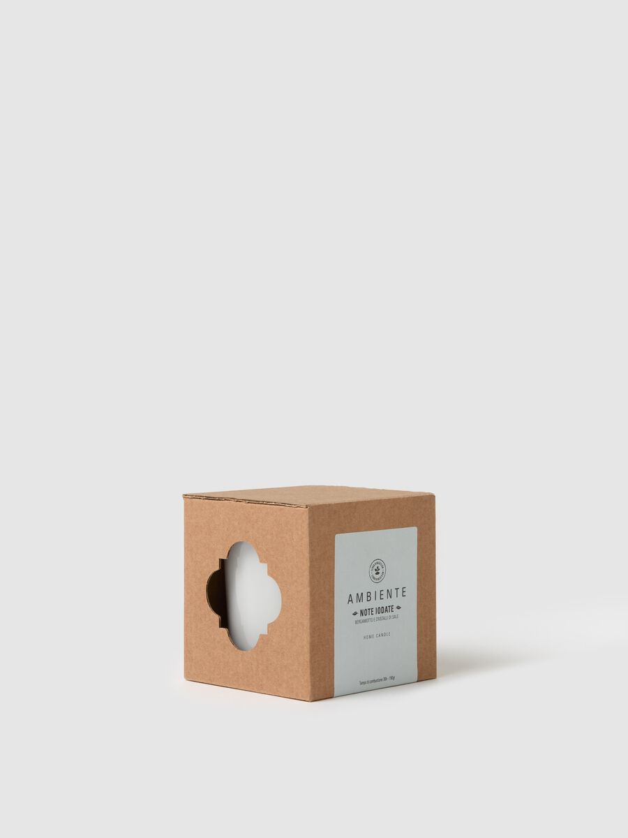 "Iodine Notes" ambient candle_1
