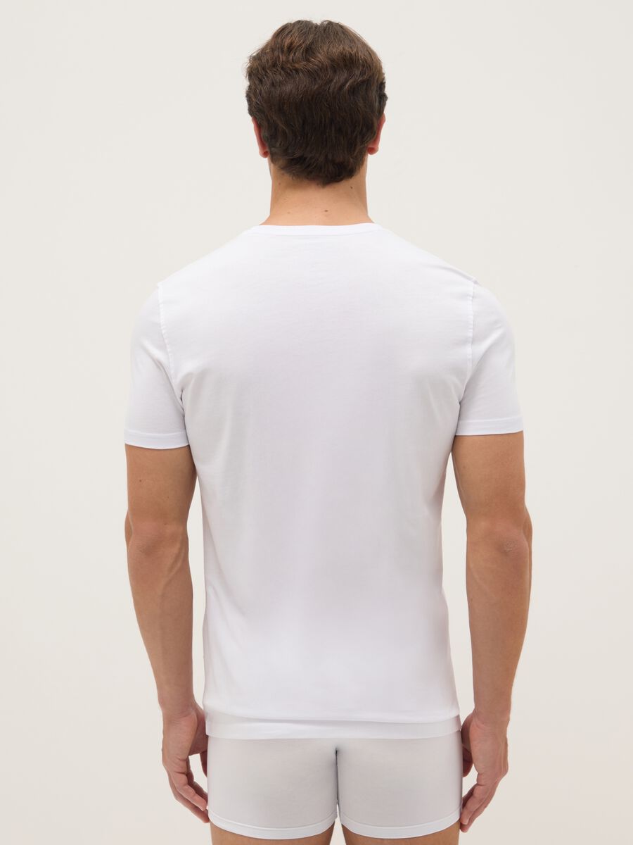 White regular fit crew neck T-shirt in pure cotton_2
