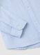 Sky blue regular fit pure cotton children's shirt_3