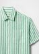 Green and White Striped Shirt_4