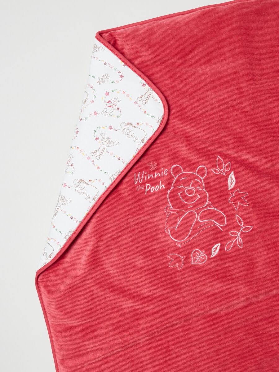 Coperta in velour con ricamo Winnie the Pooh_1